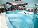 Veranstaltungsbild Indoorsurfen