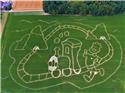 Veranstaltungsbild Maislabyrinth