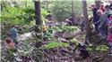 Veranstaltungsbild Einmal Wald und zurück